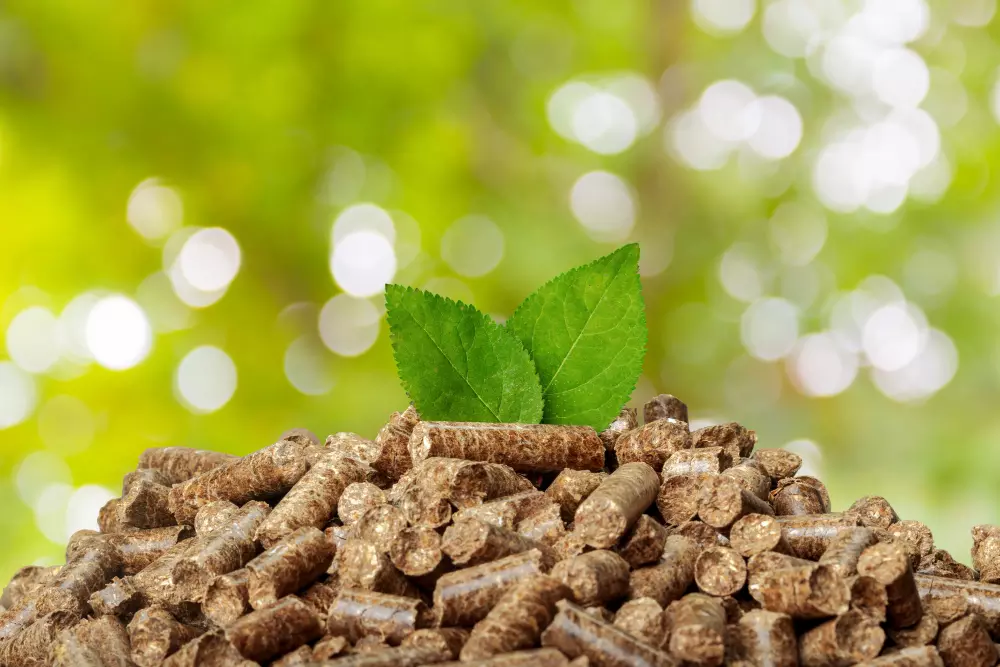 Mijn energie: Bio massa energie